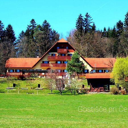 Guesthouse Pri Cebelici Lukovica pri Domzalah ภายนอก รูปภาพ